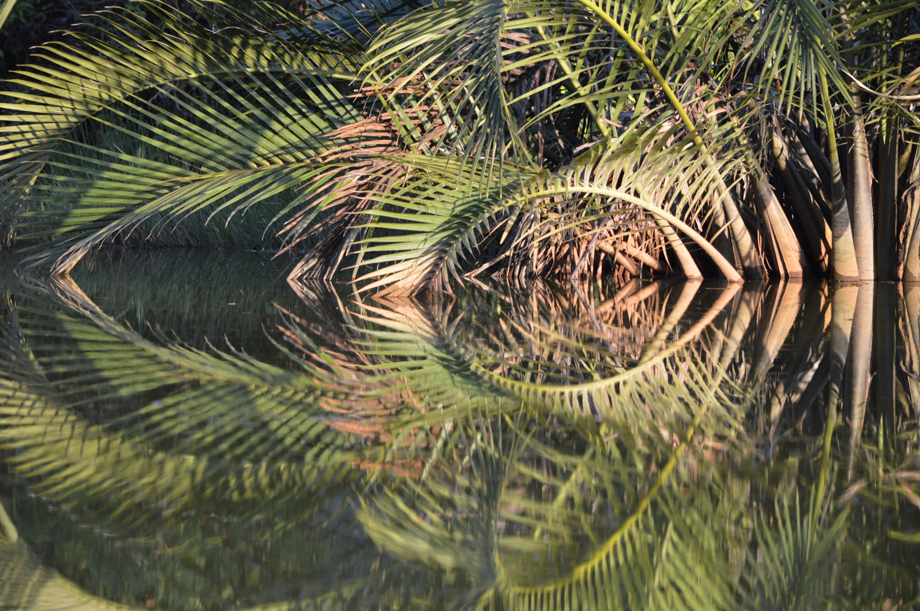 Sungai Way Kanan river